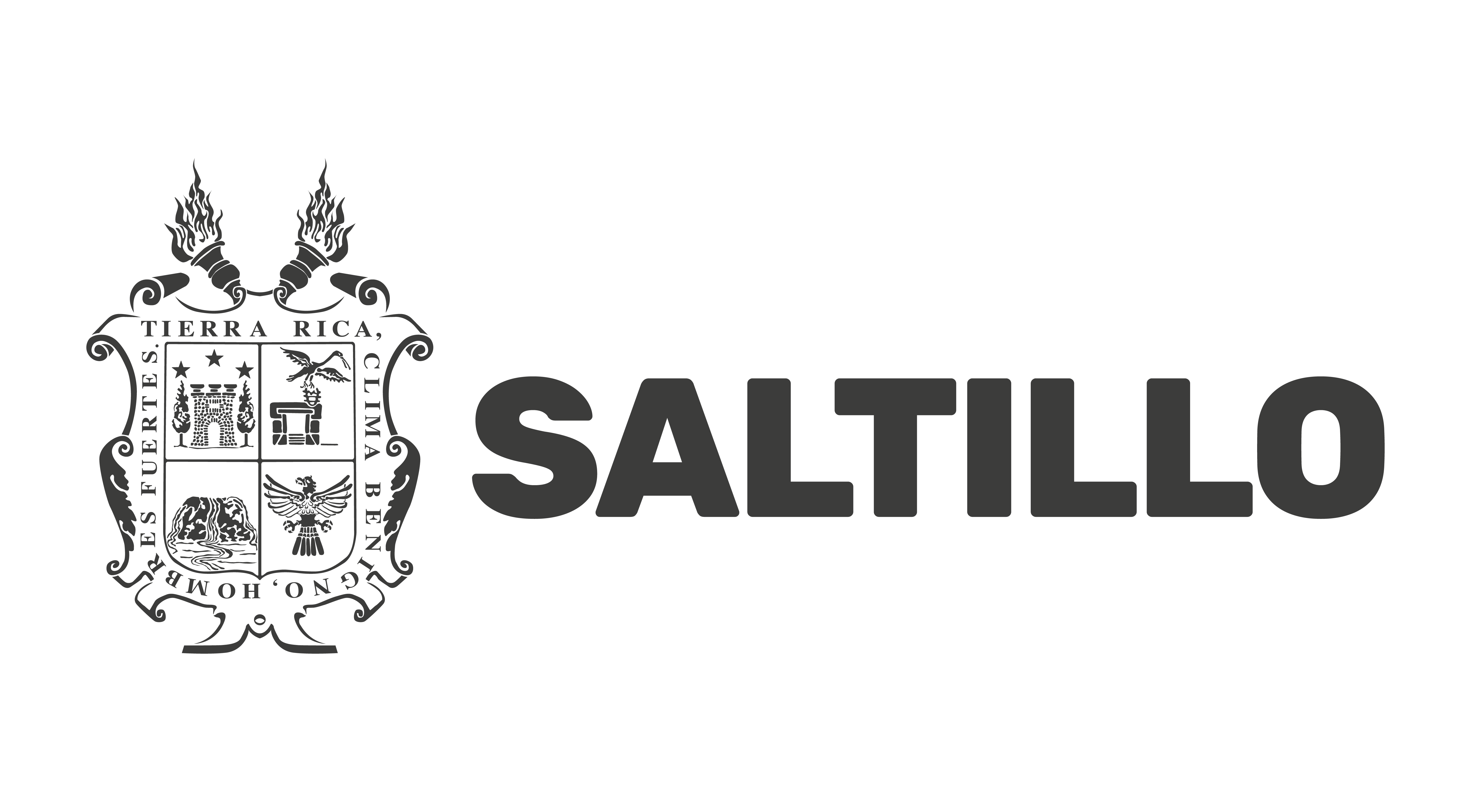 Logo Saltillo